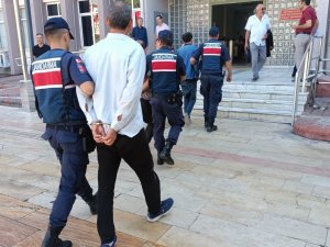 Jandarma Ekipleri İncir Hırsızlarını Suçüstü Yakaladı