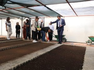 Kaymakam Karaman, 300 Bin Mevsimlik Çiçeğin İlk Tohumunu Attı