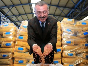 Tohum Desteğine 4 Bin 400 Çiftçi Başvurdu