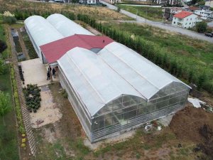 Bu Lisenin Süs Bitkisinden Kazancı Dudak Uçuklatıyor