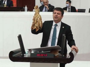 Milletvekili Tutdere, Tütün Hastalıklarını Mecliste Gündeme Getirdi