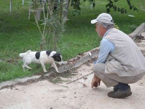 Haber Yaparken Köpeğin Saldırısına Uğradı