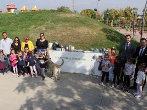 Minikler, Dünya Kız Çocukları Günü İçin Duvarları Boyadı