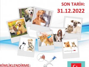 Samsun’da 7 Bin 277 Evcil Hayvan Mikroçip Uygulanarak Kayıt Altına Alındı