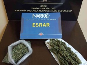 Ordu’da Uyuşturucu Operasyonunda 1 Kişi Tutuklandı