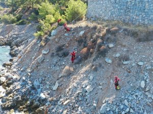 Atıklar, Akut Yardımıyla Toplandı