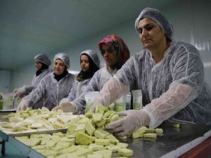 Dondurma Artık Kışın Da Tüketilecek