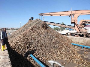 Şeker Tedarikinde Sıkıntı Yaşanmayacak