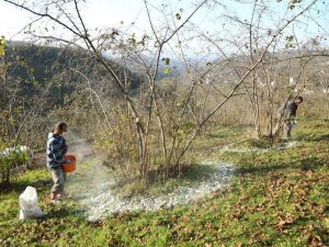 Fınver’e Rekor Başvuru