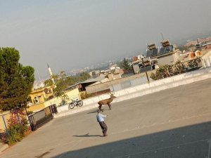 Okulda Geyik Şaşkınlığı