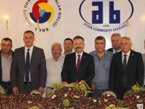 Aydın’da Sezonun İlk Kestanesi 250 Tl’den Alındı