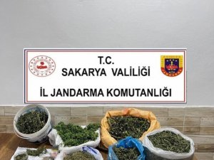 Sakarya’da 10 Kilo Kubar Esrar Ele Geçirildi: 1 Gözaltı