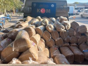 Çan’da 998 Kilo Tütün Ele Geçirildi