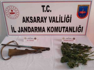 Jandarma Odunlukta Esrar Ve Tüfek Ele Geçirdi