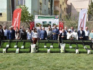 Şırnak’ta Seralara Kadın Eli Değdi