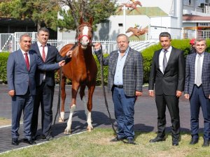 Şampiyon Atın Yavruları Rekor Fiyatla Satıldı