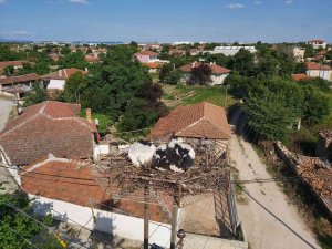 “Leylek Popülasyonunu Koruma” Projesi Finali Getirdi