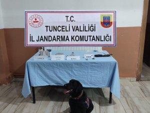 Tunceli’de Uyuşturucu Operasyonu: 4 Gözaltı