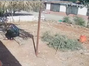 Sokak Ortasında Öldürülen Yaşlı Kadının Ölmeden Önce Son Görüntüleri Ortaya Çıktı