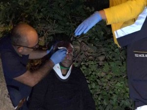 Kontrolden Çıkan Araç Ağaca Çarptı, Kapıdan Savrulan Sürücü Başından Yaralandı