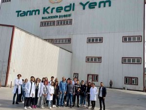 Kepsut Meslek Yüksekokulu Öğrencileri Teknik Gezide