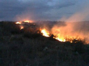 Gönen’de Makilik Alanda Yangın