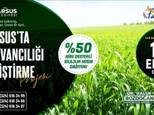 Tarsus Belediyesinden Besicilere Silajlık Mısır Yemi Desteği