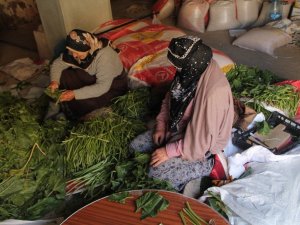 Bayburtlu Kadınların Kışlık Konserve, Turşu Hazırlıkları Başladı