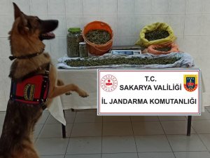 Jandarmadan İki İlçede Uyuşturucu Operasyonu: 4 Gözaltı