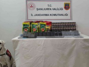 Jandarma Köpeği Kaçakçılığa Geçit Vermedi