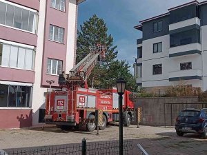 Ağaçta Mahsur Kalan Kediyi İtfaiye Kurtardı