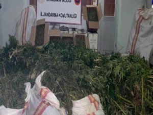 Silvan’da Son 1 Ayda 103 Kilo Esrar Ele Geçirildi