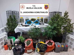 Muğla’da Uyuşturucu Operasyonu