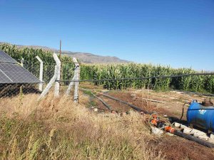 Hibe Desteğinden Yaralanan Yatırımcıların Denetimi Sürüyor