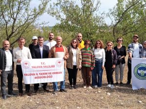 Yalovalı Çiftçiler Edirne’ye Teknik Geziye Gitti