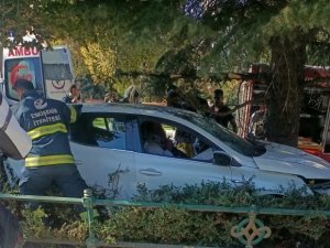 Ağaca Çarpan Otomobilin Sürücüsü Yaralandı