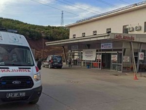 Tunceli’de Arıların Soktuğu Adam Hayatını Kaybetti