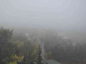 Kars’ta Yoğun Sis