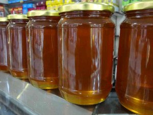 Prof. Dr. Sevgi Kolaylı : "Ülkemiz Bir Bal Ülkesi"