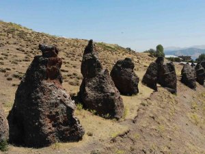 Asırlık ’Nemrut Develeri’ Yok Olma Tehlikesiyle Karşı Karşıya
