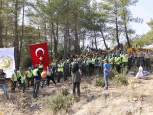 Yatağan, Milas Ve Kavaklıdere İ̇şletme Müdürlüklerinin Silvikültür Tatbikatı Yapıldı