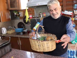 "Boncuk" Sincap Çay Ocağının Maskotu Oldu