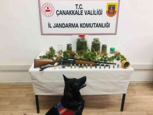 Çanakkale’de Uyuşturucu Operasyonu