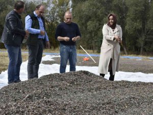 Bayburt’ta Ayçiçeği Hasadı Başladı
