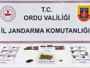 Ordu’da Uyuşturucu Operasyonunda 1 Kişi Tutuklandı