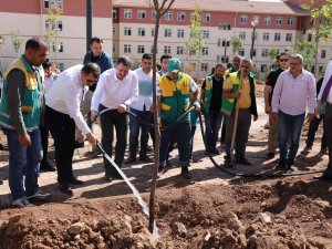 Karaköprü’de Yeni Parklar Ağaçlandırılıyor