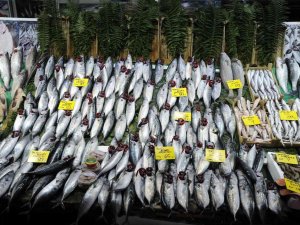 Balık Tezgahlarında Palamut Bolluğu Devam Ediyor