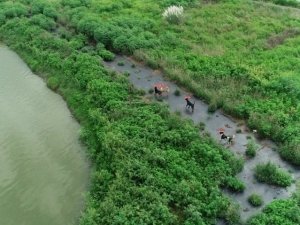 Tayvan’da Sokak Köpekleri Sorununa Dronlu Çözüm