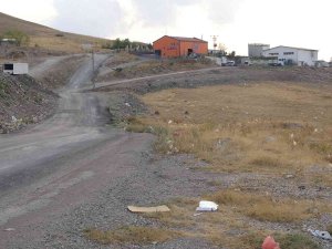 Elazığ’da Vahşet: Saatlerce İşkence Ettiği Kadını Öldürüp Cesedini Çöp Toplama Merkezi Yakınına Attı