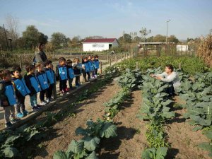 Nilüfer’de Geleceğin Çiftçileri Tarım Öğreniyor
